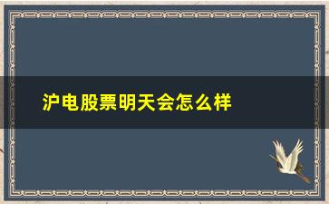 “沪电股票明天会怎么样